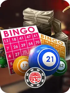 bingo lottery