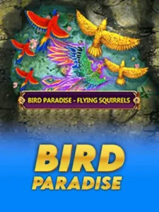 Bird Paradise